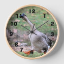 Search for silly clocks Photography