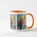 Search for conure mugs Pets