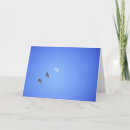 Search for target cards Blue