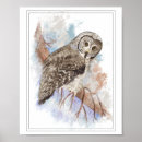 Search for great grey owl posters Animal