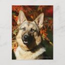 Search for deutscher postcards Panting