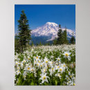 Search for avalanche posters Superstock