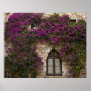Search for bougainvillea art Purple