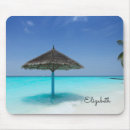 Search for in paradise electronics Maldives