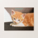 Search for crazy puzzles Kids