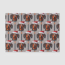 Search for dog christmas tissue paper Animal lover