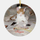 Search for rescue christmas tree decorations Cat