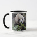 Search for endangered animals mugs Green