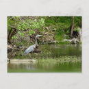 Search for great blue postcards Outdoors