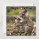 Search for bonds cards Wildlife