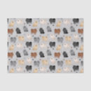 Search for paw print tissue paper Pets