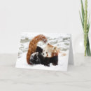 Search for red panda christmas cards Winter