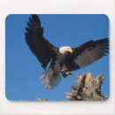 Search for bird flight mousepads Bird of prey