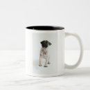 Search for pug puppy mugs Pet