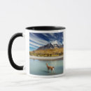 Search for torres mugs Chile