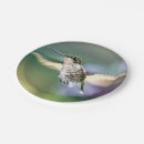 Search for beak plates Nature