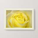 Search for closeup accessories Photography