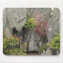 Search for bonsai mousepads Garden