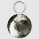 Search for siamese prints key rings Feline