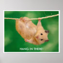 Search for cute hamster posters Hamsters