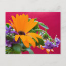 Search for 75th birthday postcards Flowers