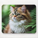 Search for cuddle mousepads Cat