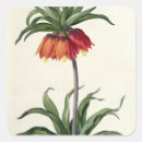 Search for redoute stickers 19th