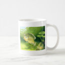 Search for sunfish mugs Bass