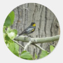 Search for warbler stickers Yellow