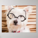 Search for book smart posters Cute