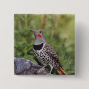Search for colorado spring accessories Forest