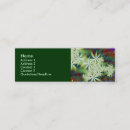 Search for college professor business cards University teacher graduate student