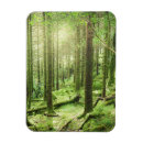 Search for kerry rectangular magnets Landscape