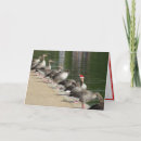 Search for funny bird christmas cards Unique
