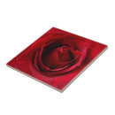 Search for deep red tiles Background