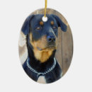 Search for rottweiler christmas tree decorations Puppy