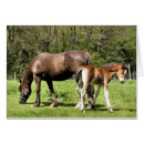 Search for mare cards Cute