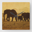 Search for vintage elephant clocks African