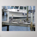 Search for dock posters Pelicans
