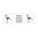 Search for sagittarius return address labels Bird of prey