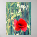 Search for poppy paintings posters Blossom