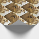 Search for dairy wrapping paper Swiss