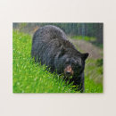 Search for hunting puzzles Beautiful