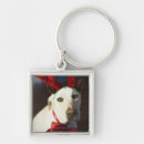 Search for confusing key rings Humour