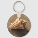 Search for pictures of shells key rings Conch shell