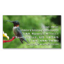 Search for ruby throated photography Hummingbird