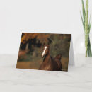 Search for headshot cards Chestnut