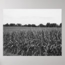 Search for midwest photography Farm life