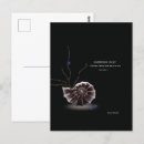 Search for authorities postcards Customer