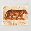 Search for digital tiger postcards Orange